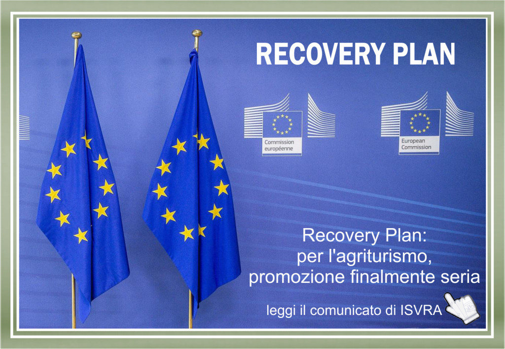 recovery plan 2021 banner_